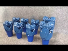 ৬.৫ ইঞ্চি-৮.৫ ইঞ্চি ট্রিকোনবিট